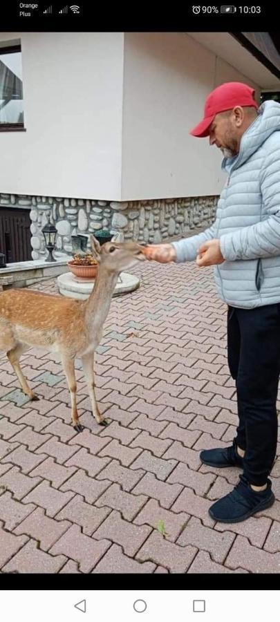 Agroturystyka Pod Lasem Poronin Bagian luar foto