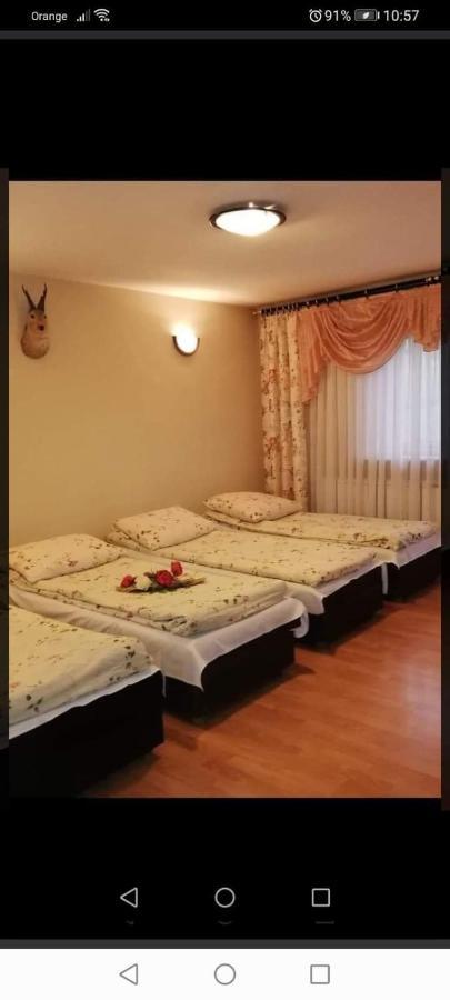 Agroturystyka Pod Lasem Poronin Bagian luar foto