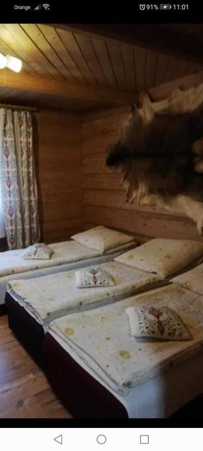 Agroturystyka Pod Lasem Poronin Bagian luar foto