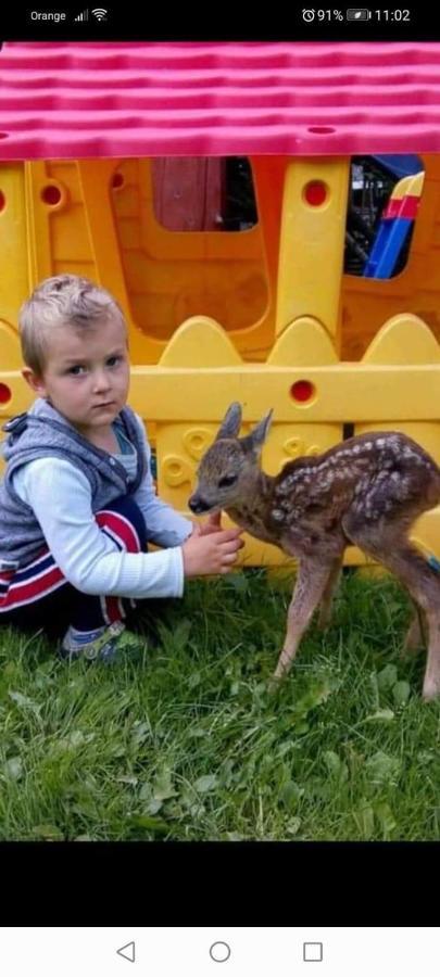 Agroturystyka Pod Lasem Poronin Bagian luar foto